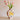 Florence Ceramics large vase at Land Tales
