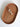 Oval tray made from London Plane wood